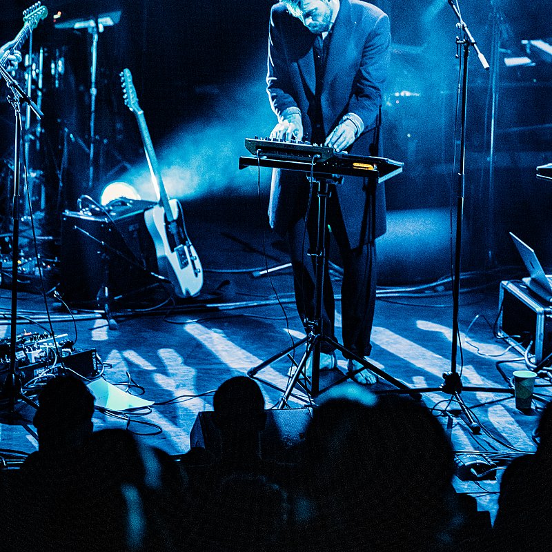Driftwood at Handelsbeurs