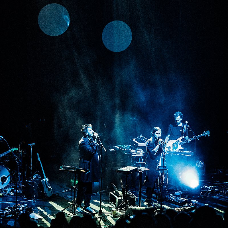 Driftwood at Handelsbeurs