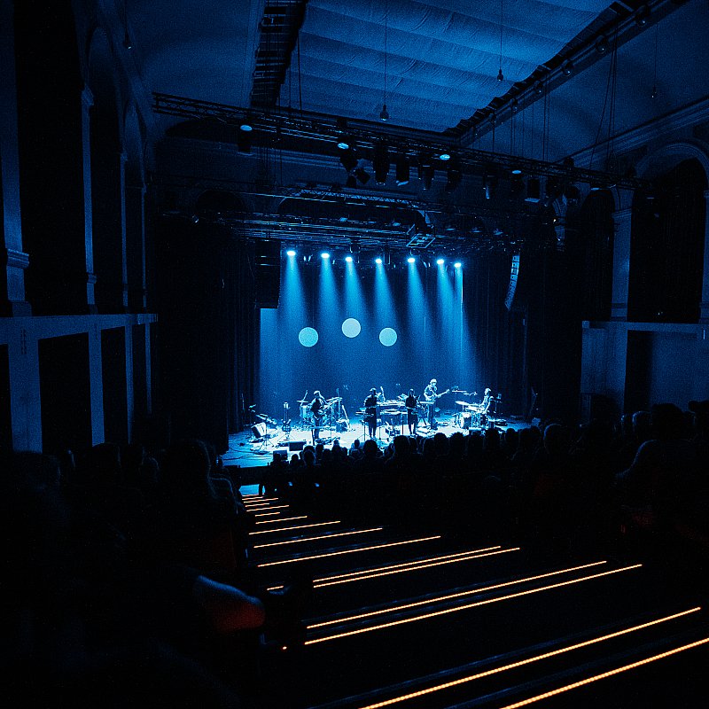 Driftwood at Handelsbeurs