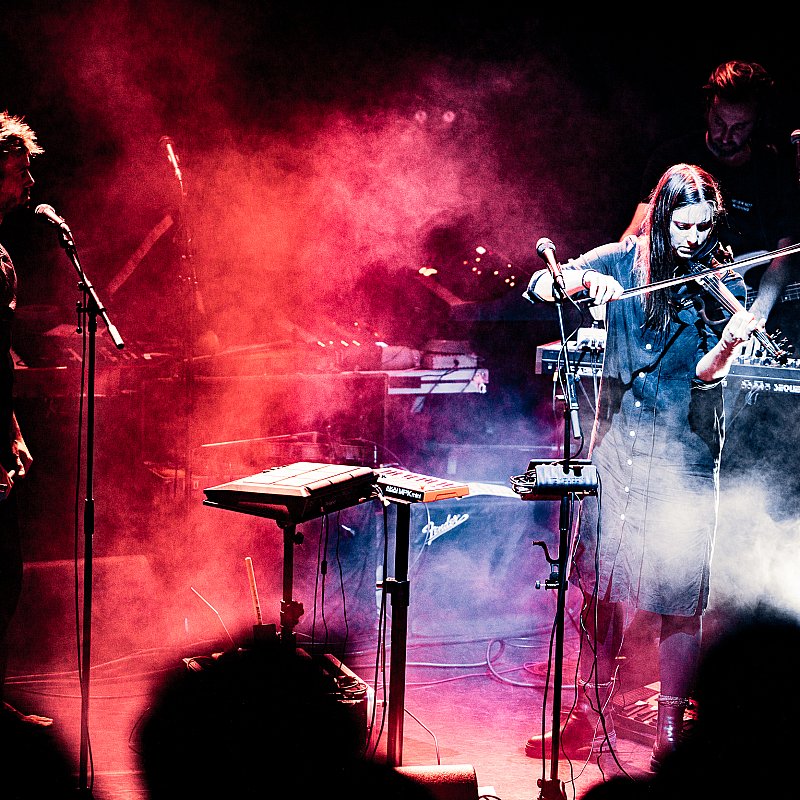 Driftwood at Handelsbeurs