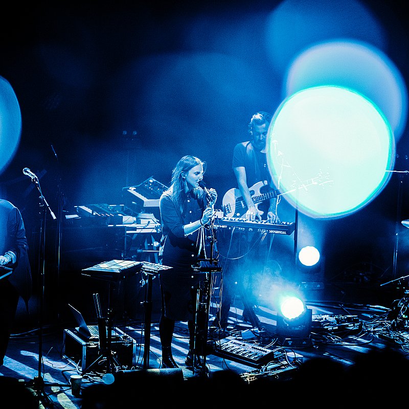 Driftwood at Handelsbeurs