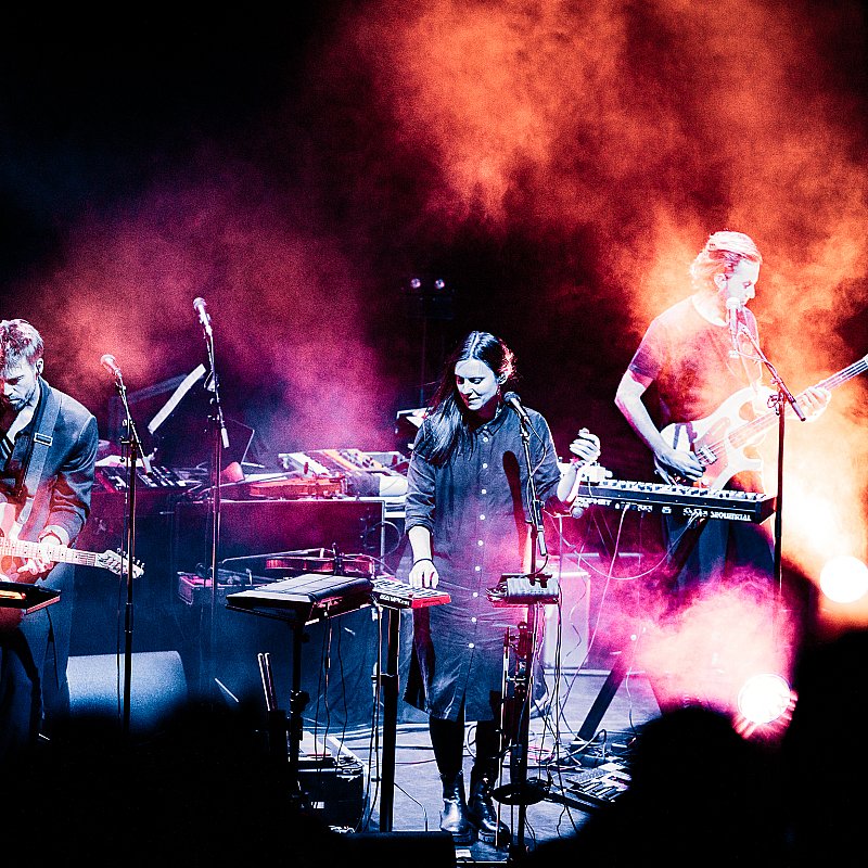 Driftwood at Handelsbeurs