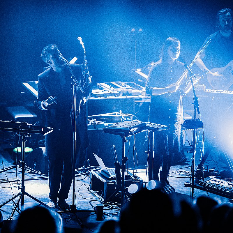Driftwood at Handelsbeurs
