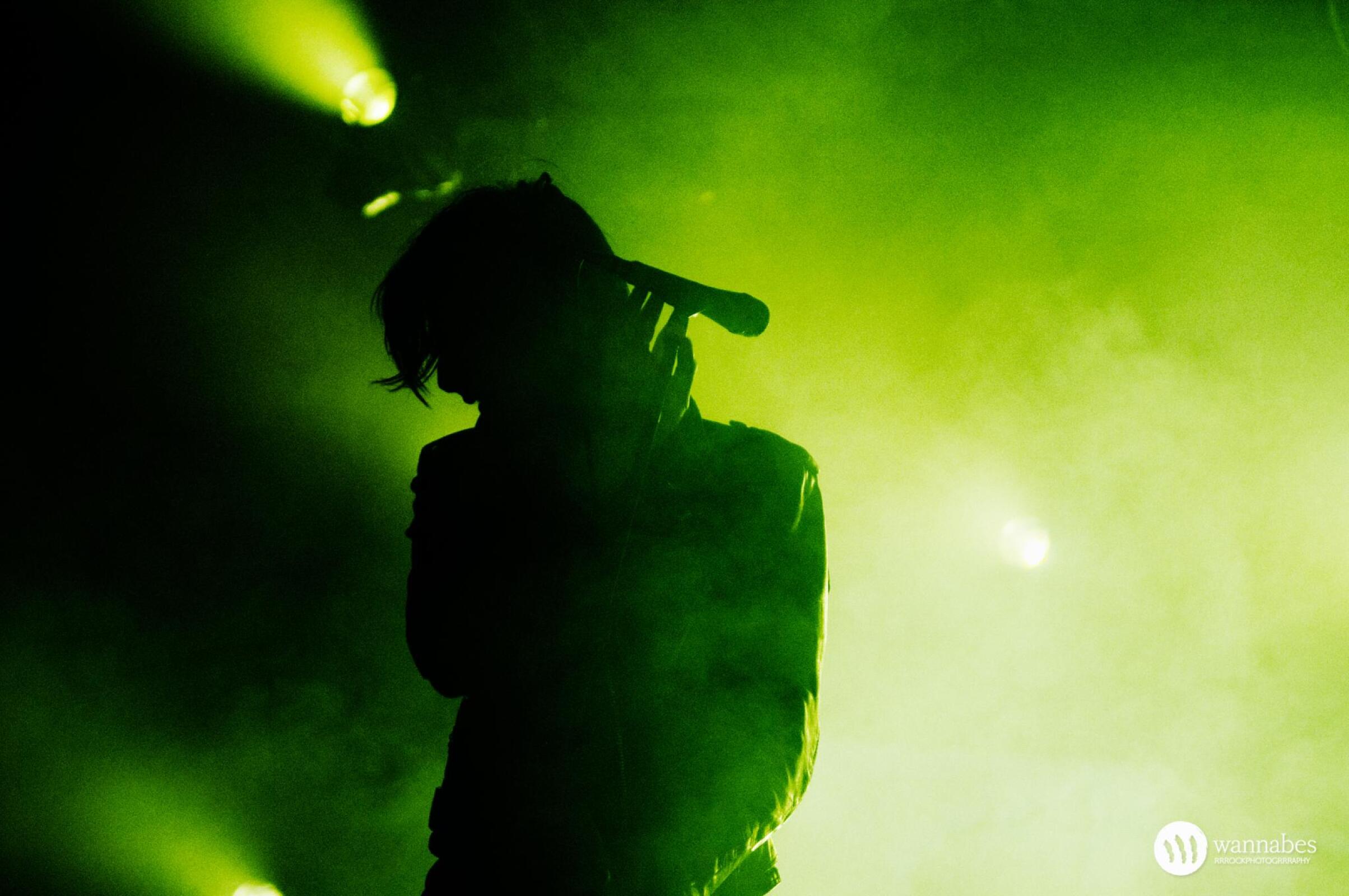 The Horrors · foto 1