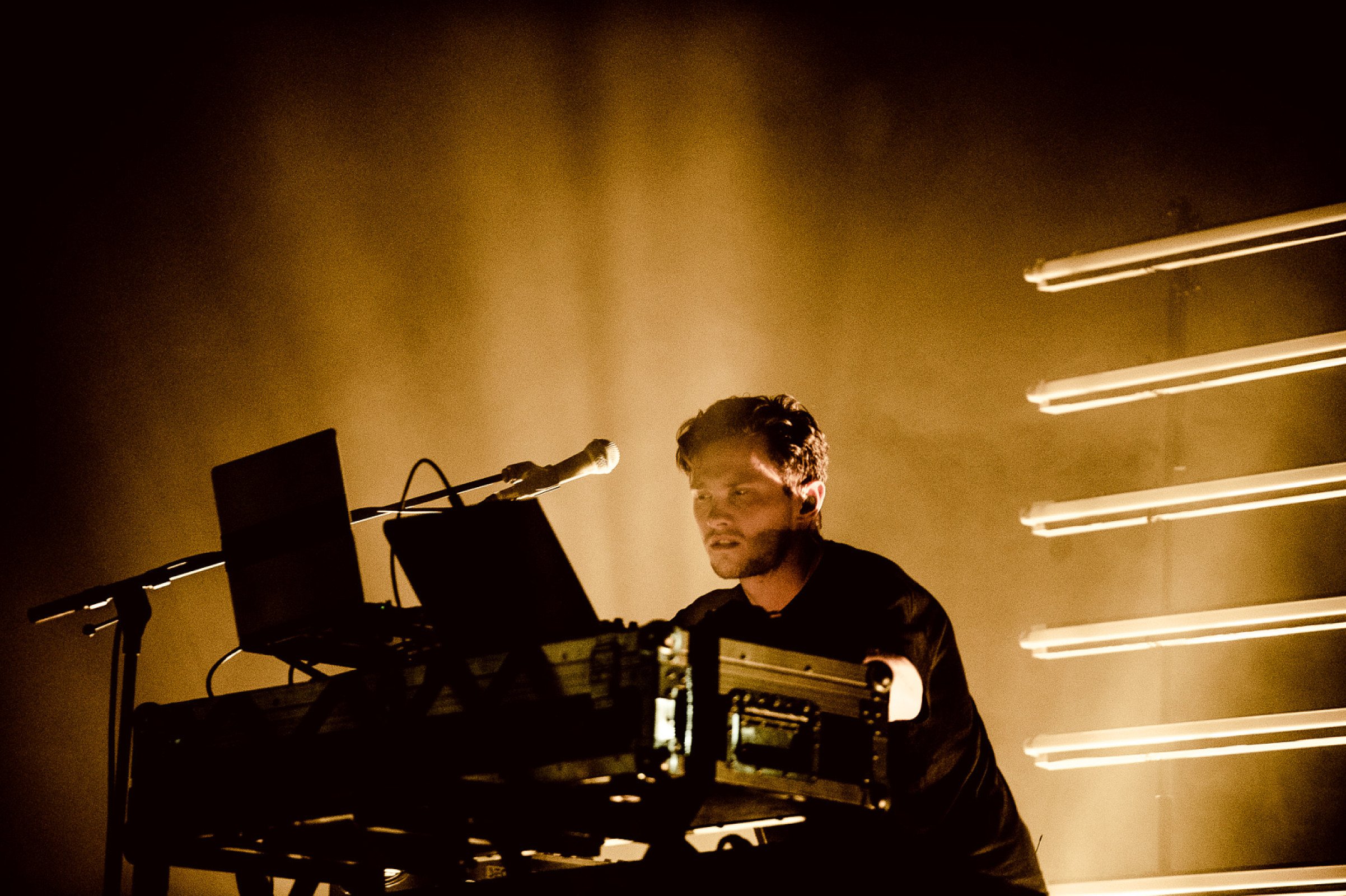 David August · photo 1
