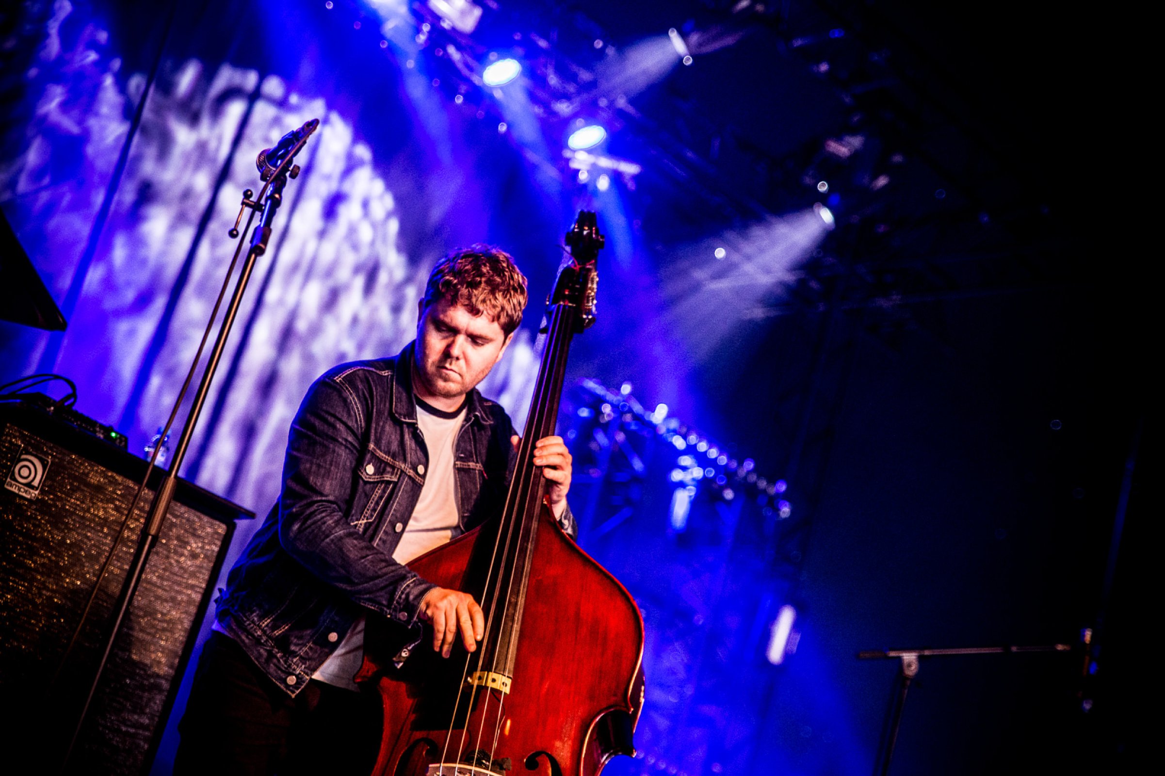 GoGo Penguin · photo 1