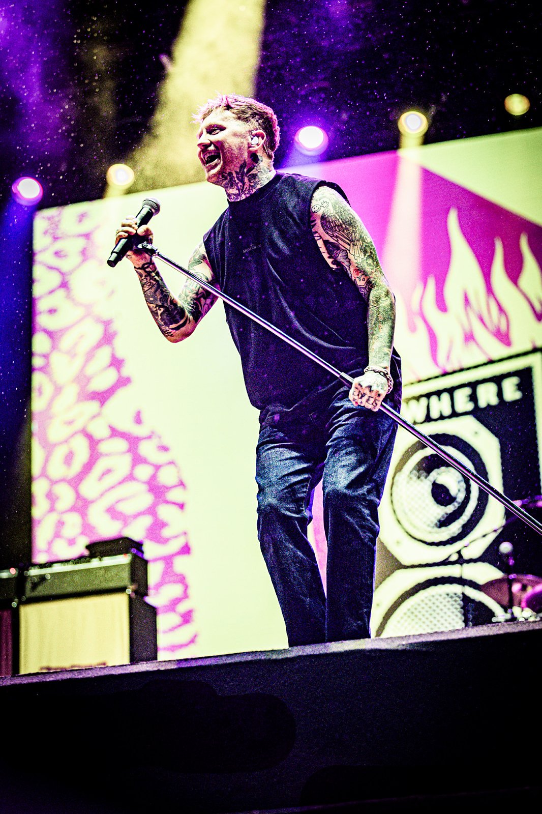 Sex Pistols ft. Frank Carter · photo 1