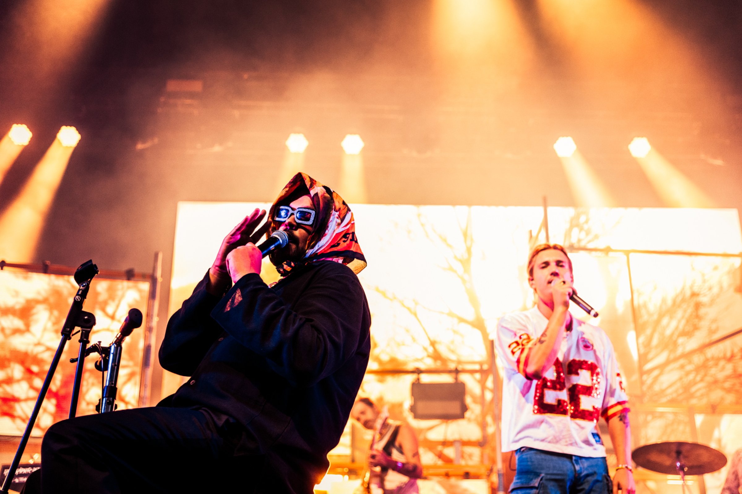 Goldband · foto 1