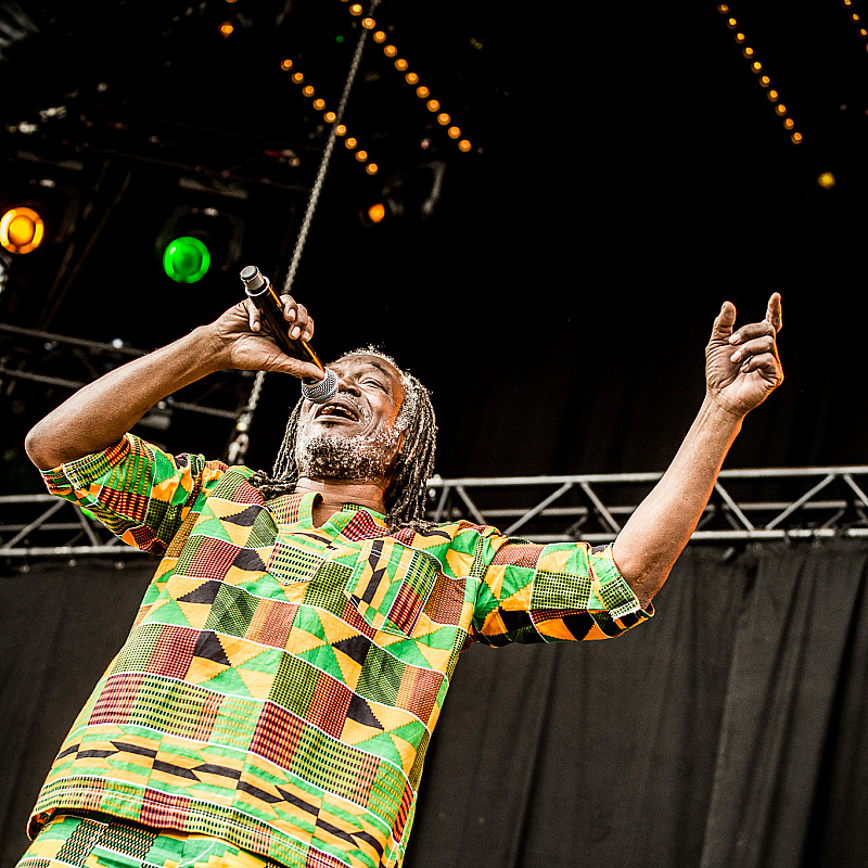 Horace Andy