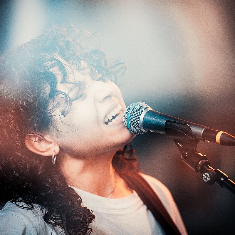 Ila at viernulvier