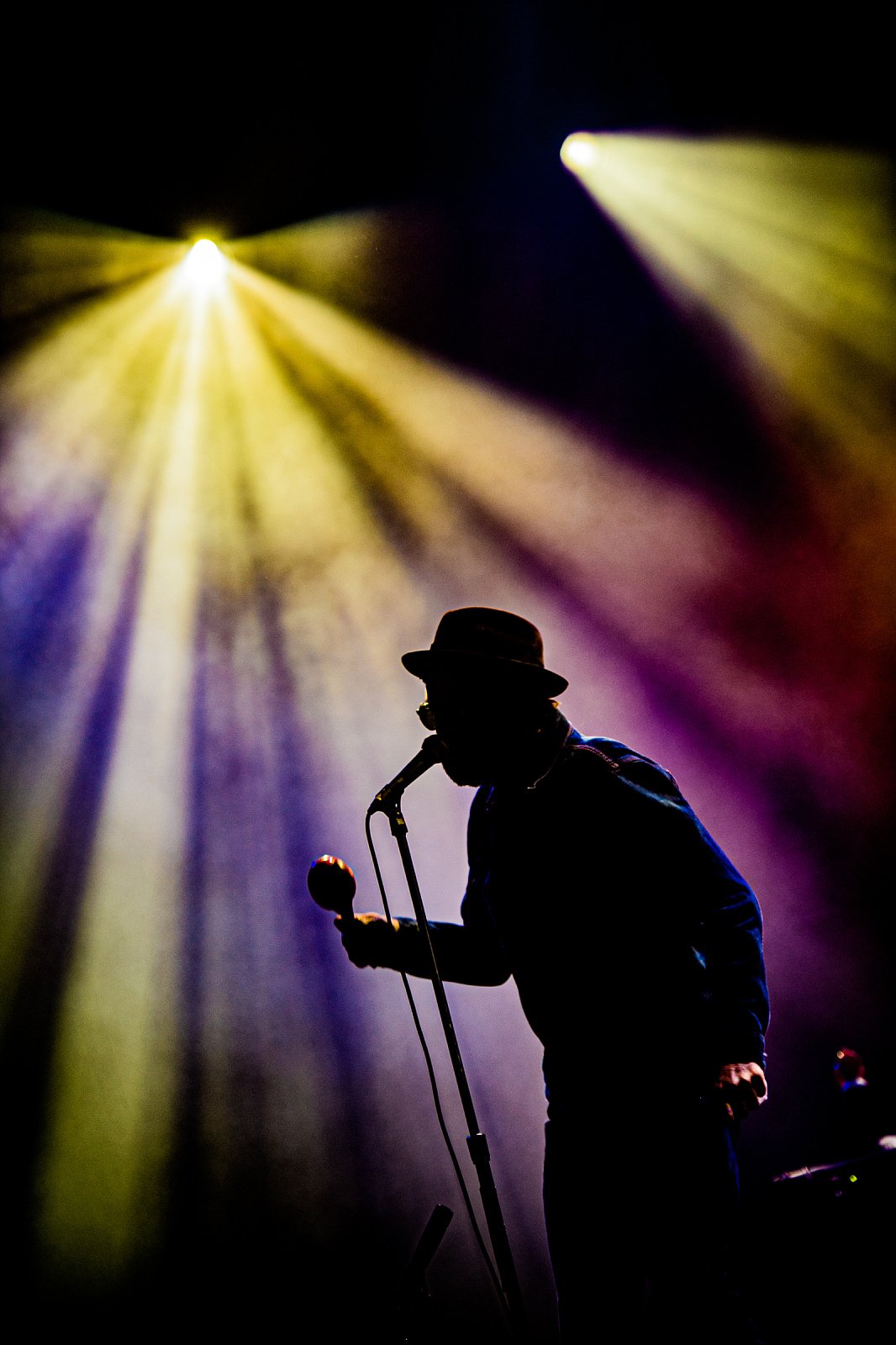 Eels · photo 1