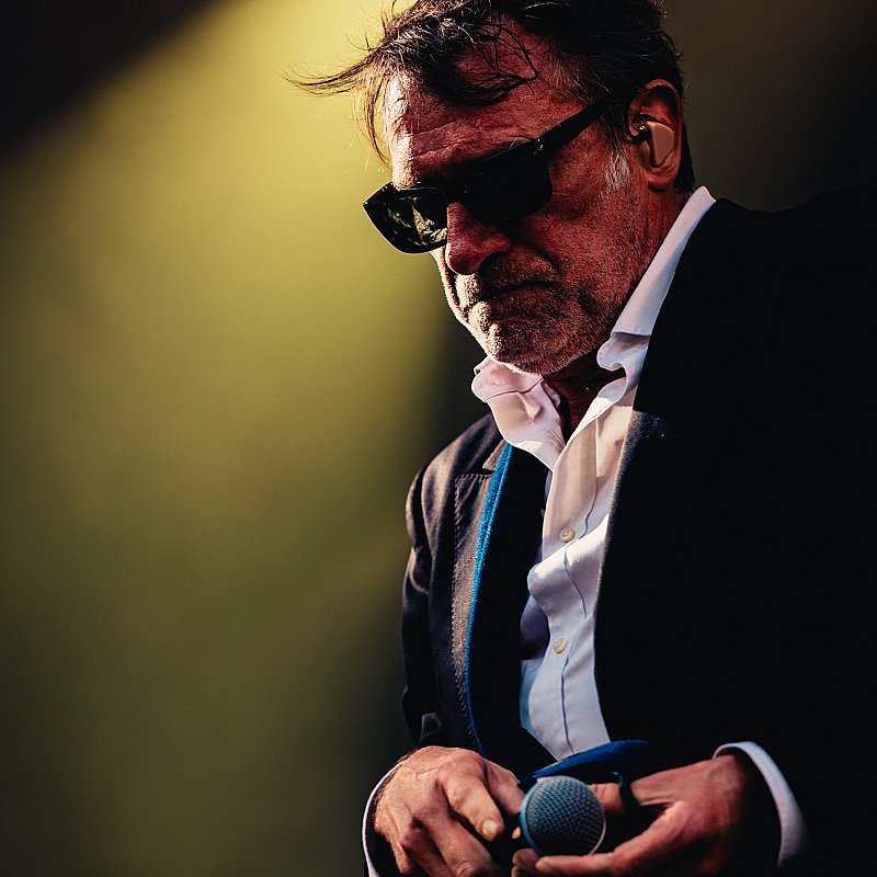 Daan at Cactusfestival 2025