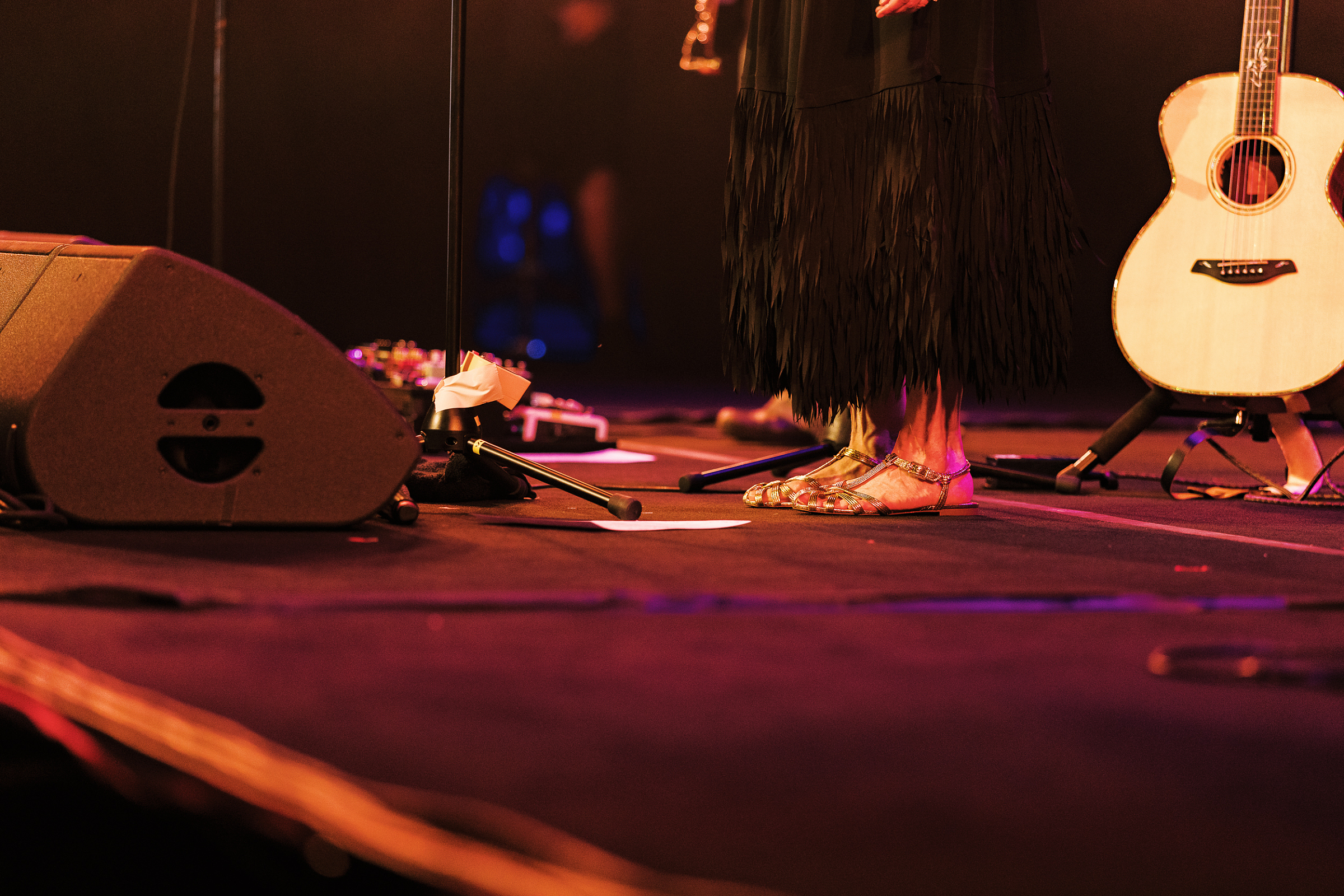 Suzanne Vega · photo 1