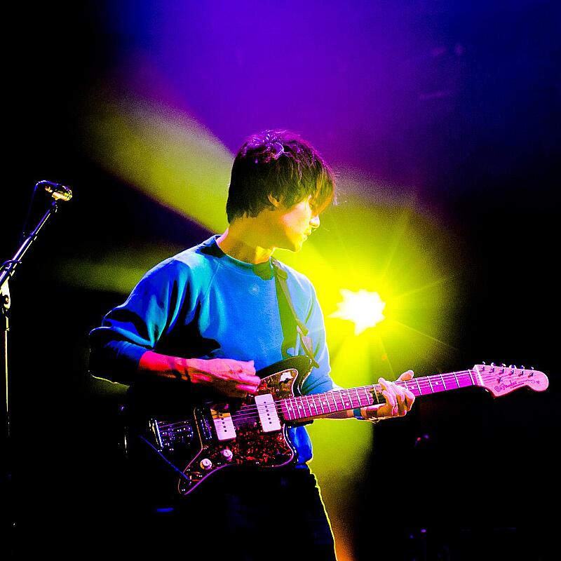 The Dodos