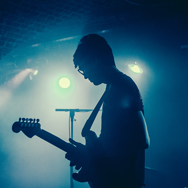 Car Seat Headrest
