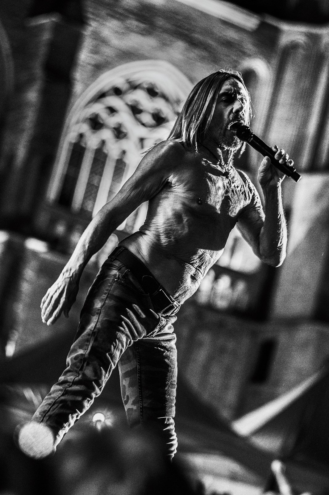 Iggy Pop · photo 1