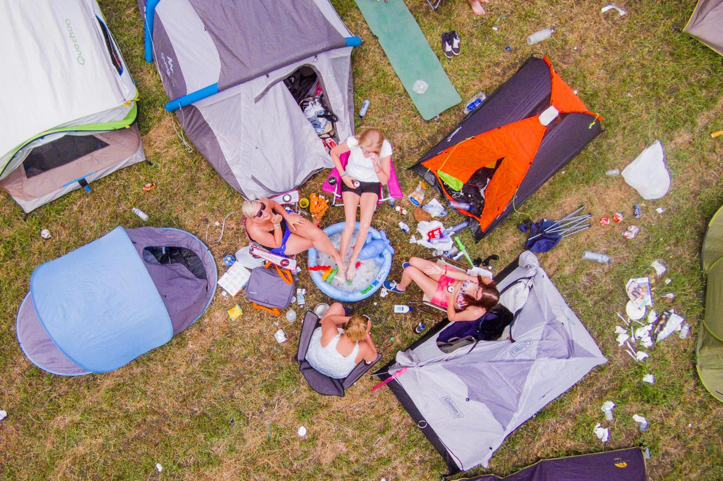 Gladiolen vanuit de lucht · photo 1