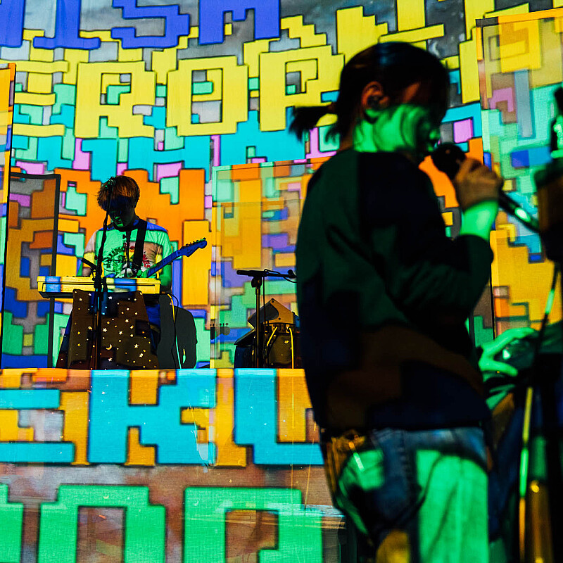 Superorganism