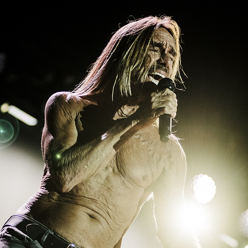 Iggy Pop