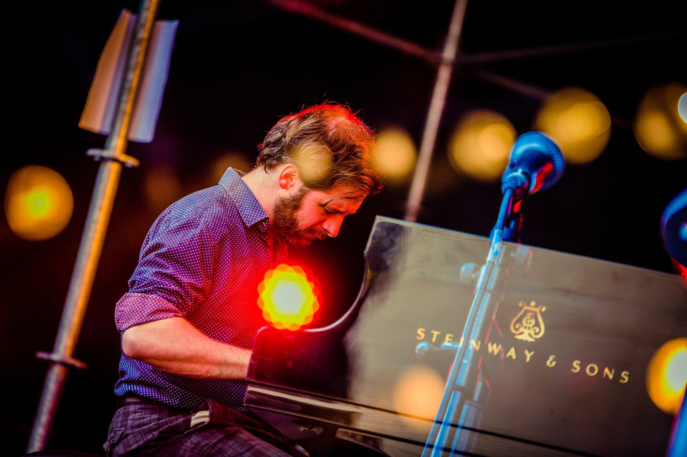 Phronesis · foto 1