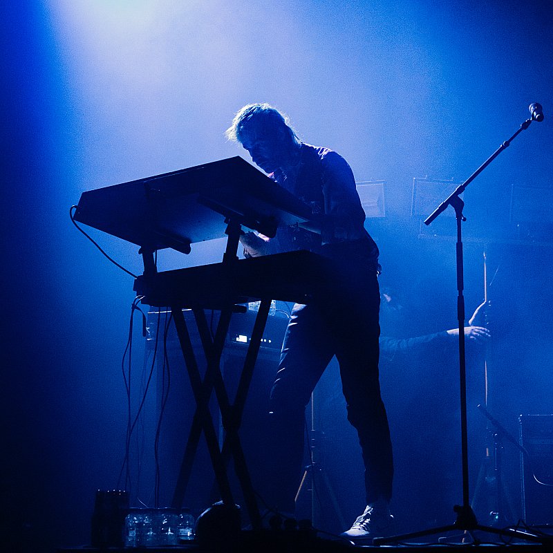 Goldband at viernulvier