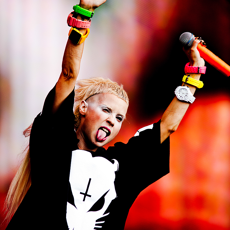 Die Antwoord