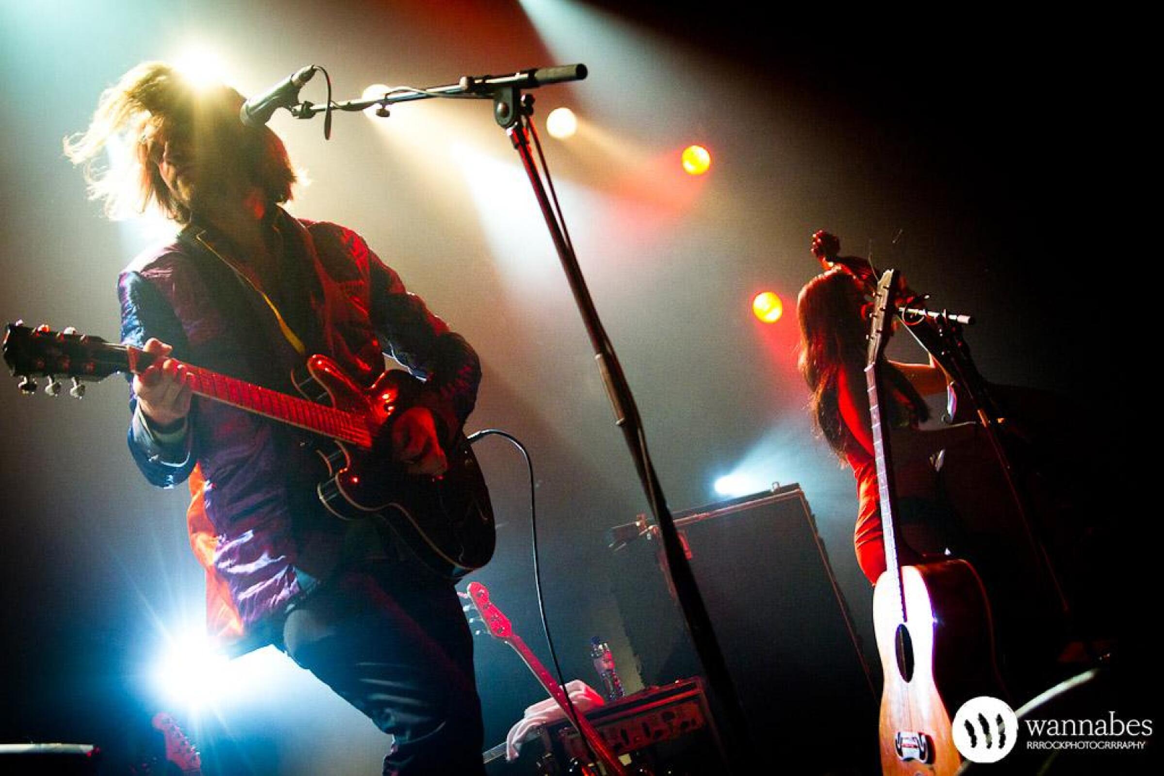 Guillemots · foto 1
