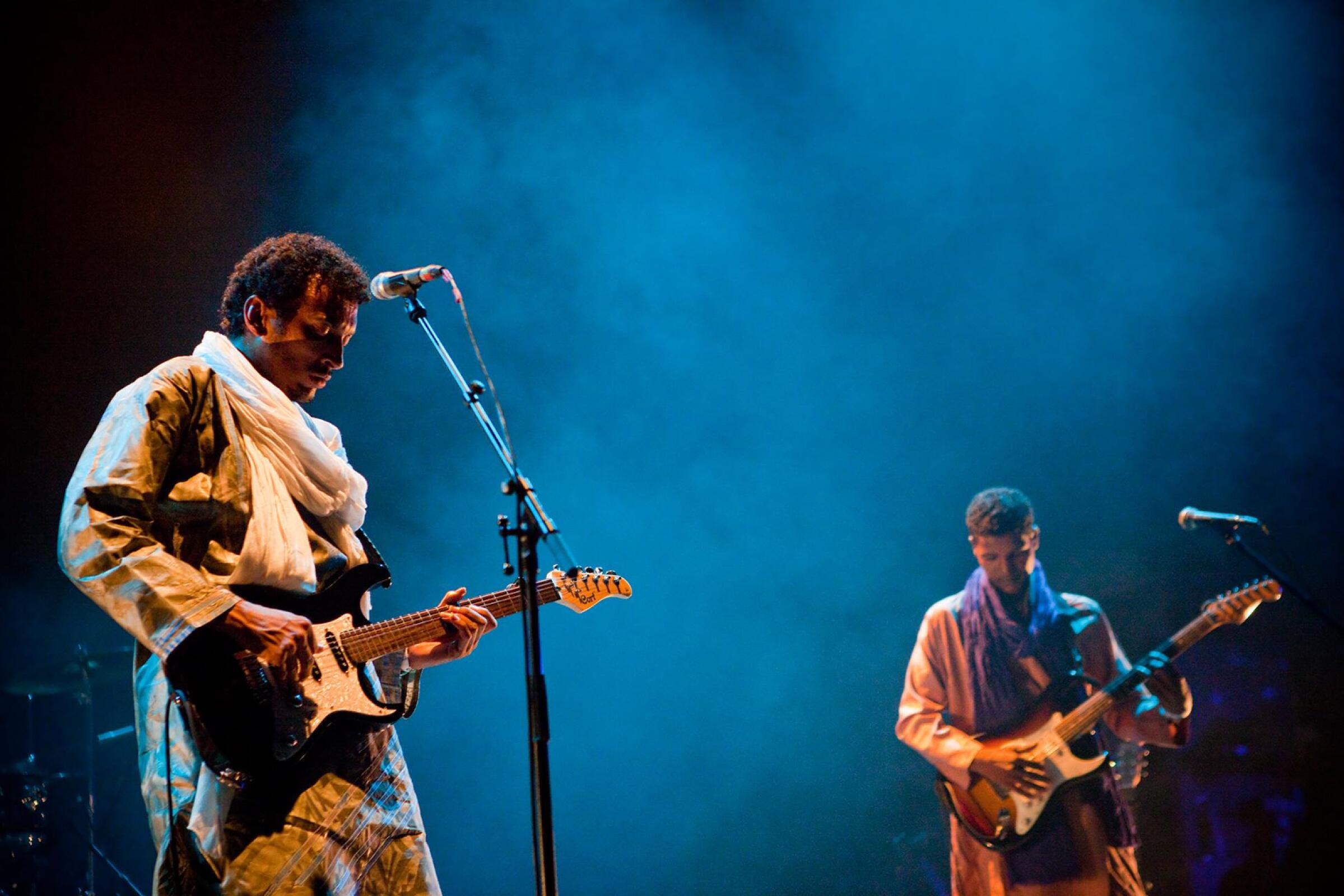 Bombino · photo 1