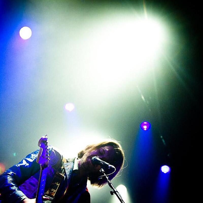 Guillemots