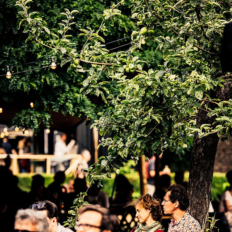 Elias at Gent Jazz 2023