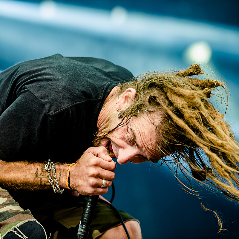 lamb of god