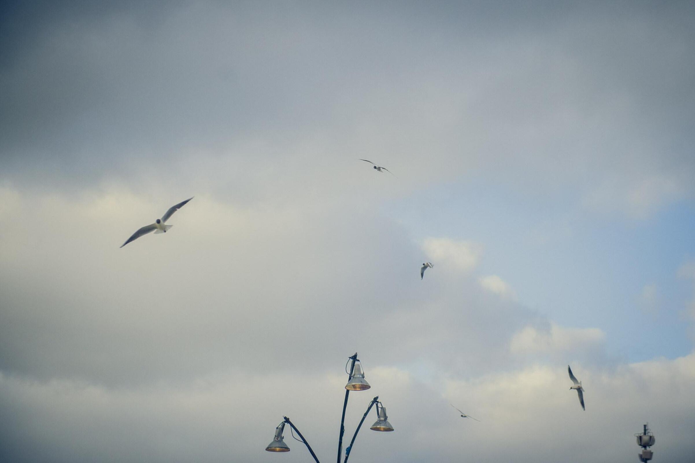 Sfeer · foto 1