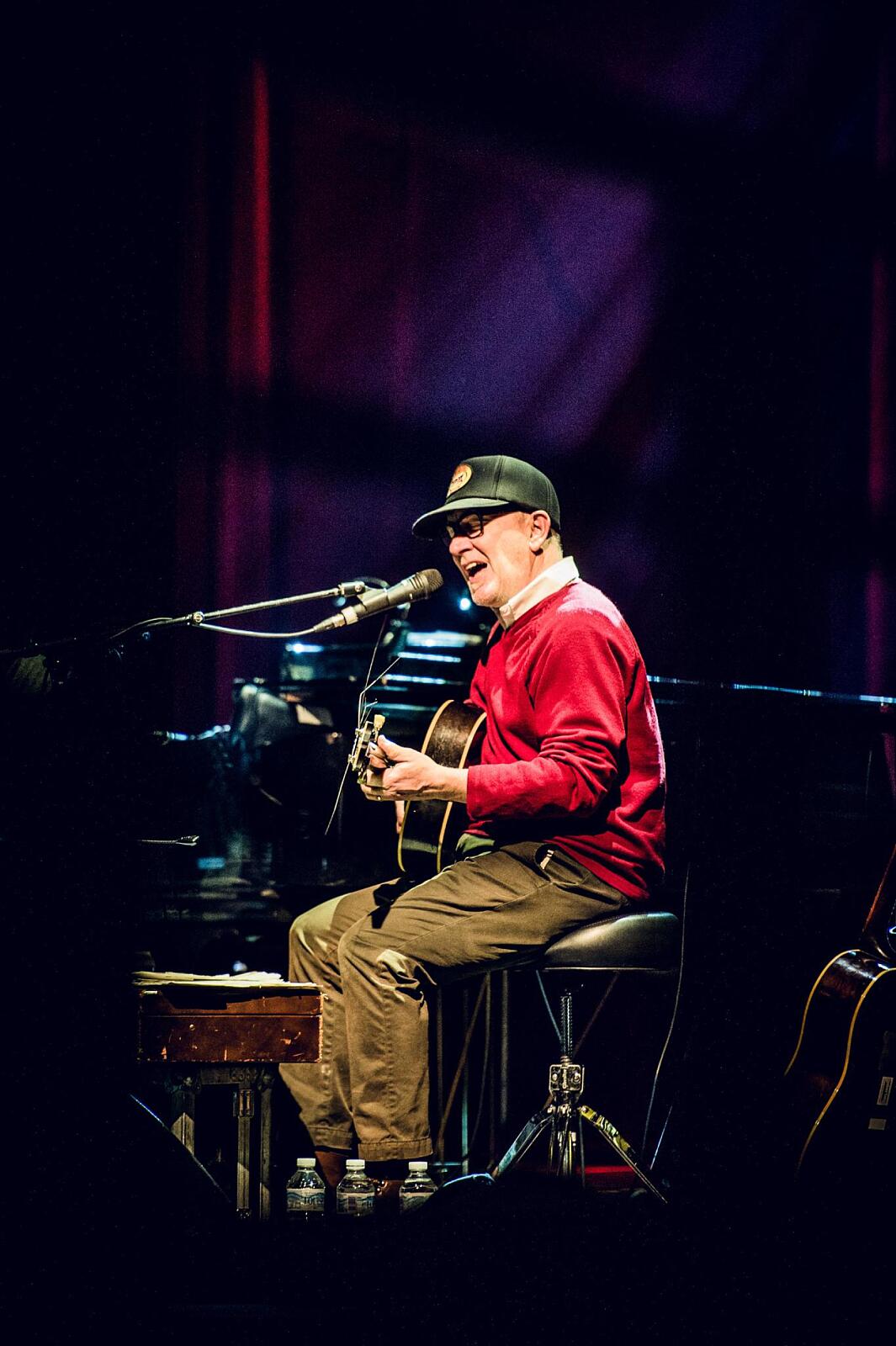 lambchop · foto 1