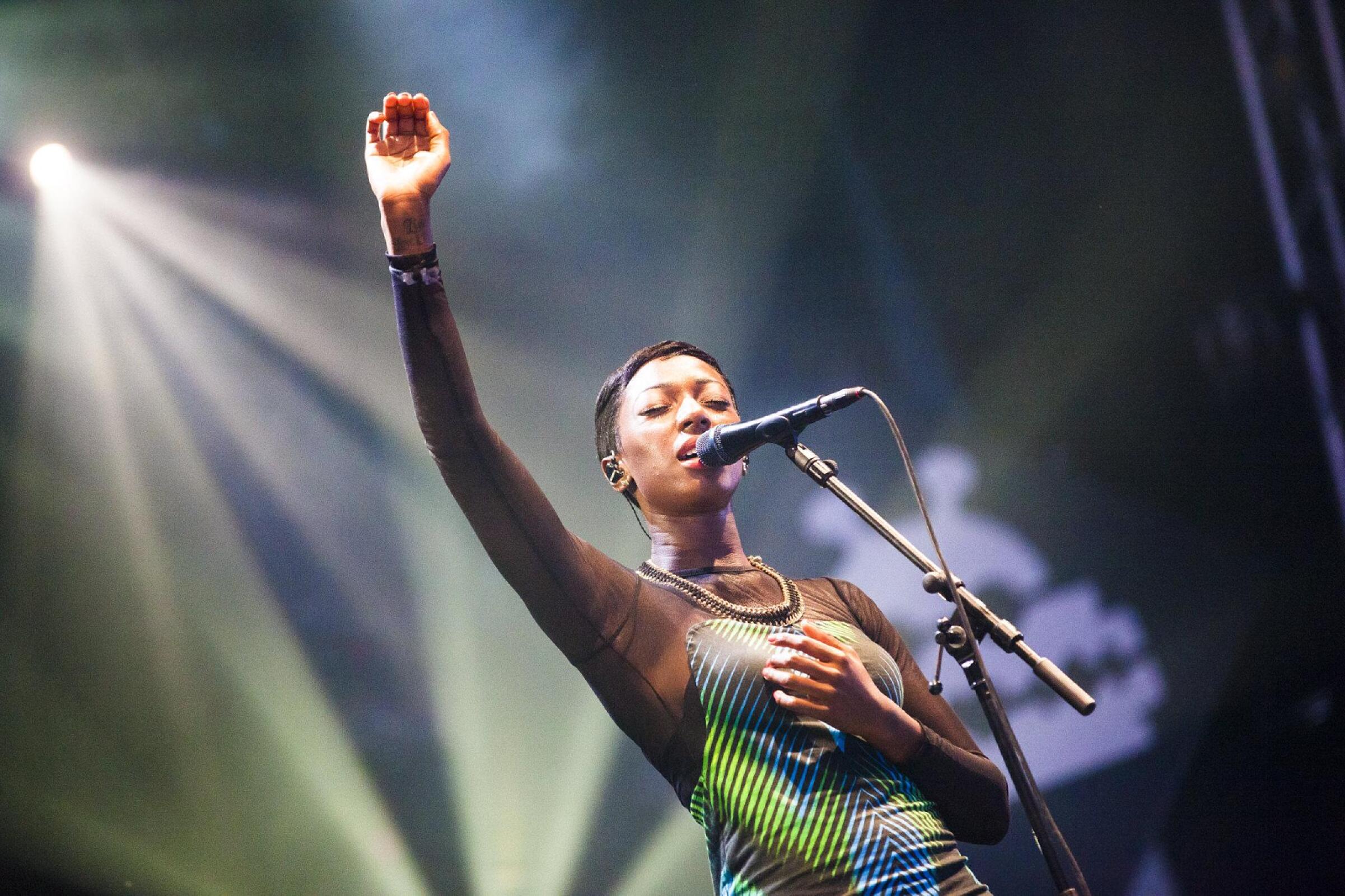 Bonobo · foto 1