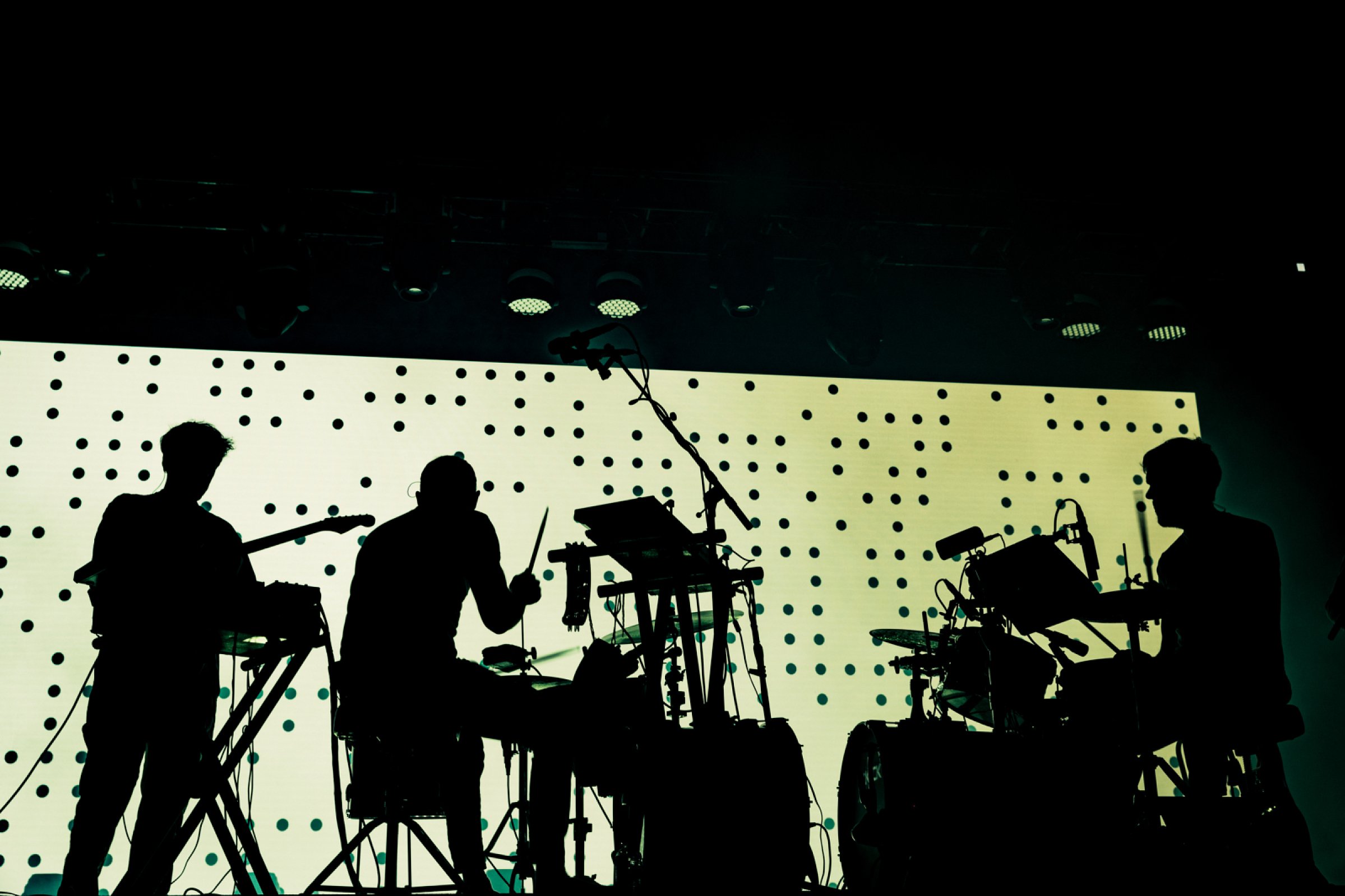 Caribou · photo 1