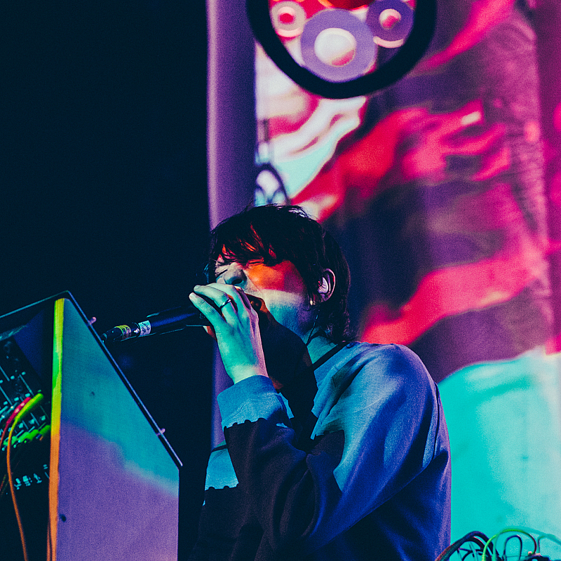 Animal Collective