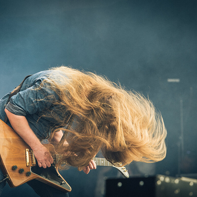 Carcass