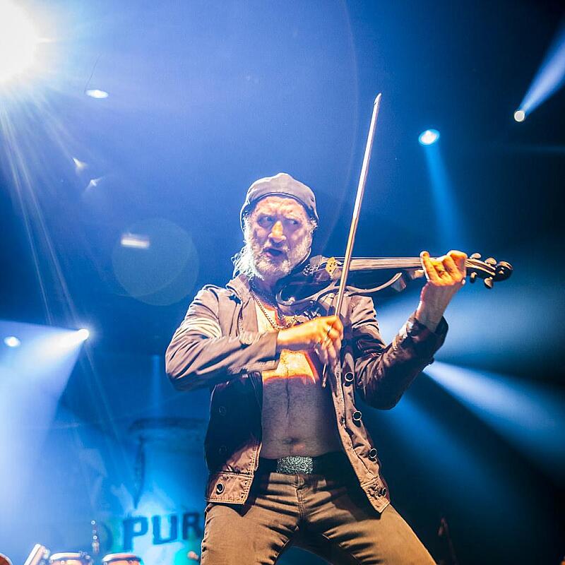Gogol Bordello