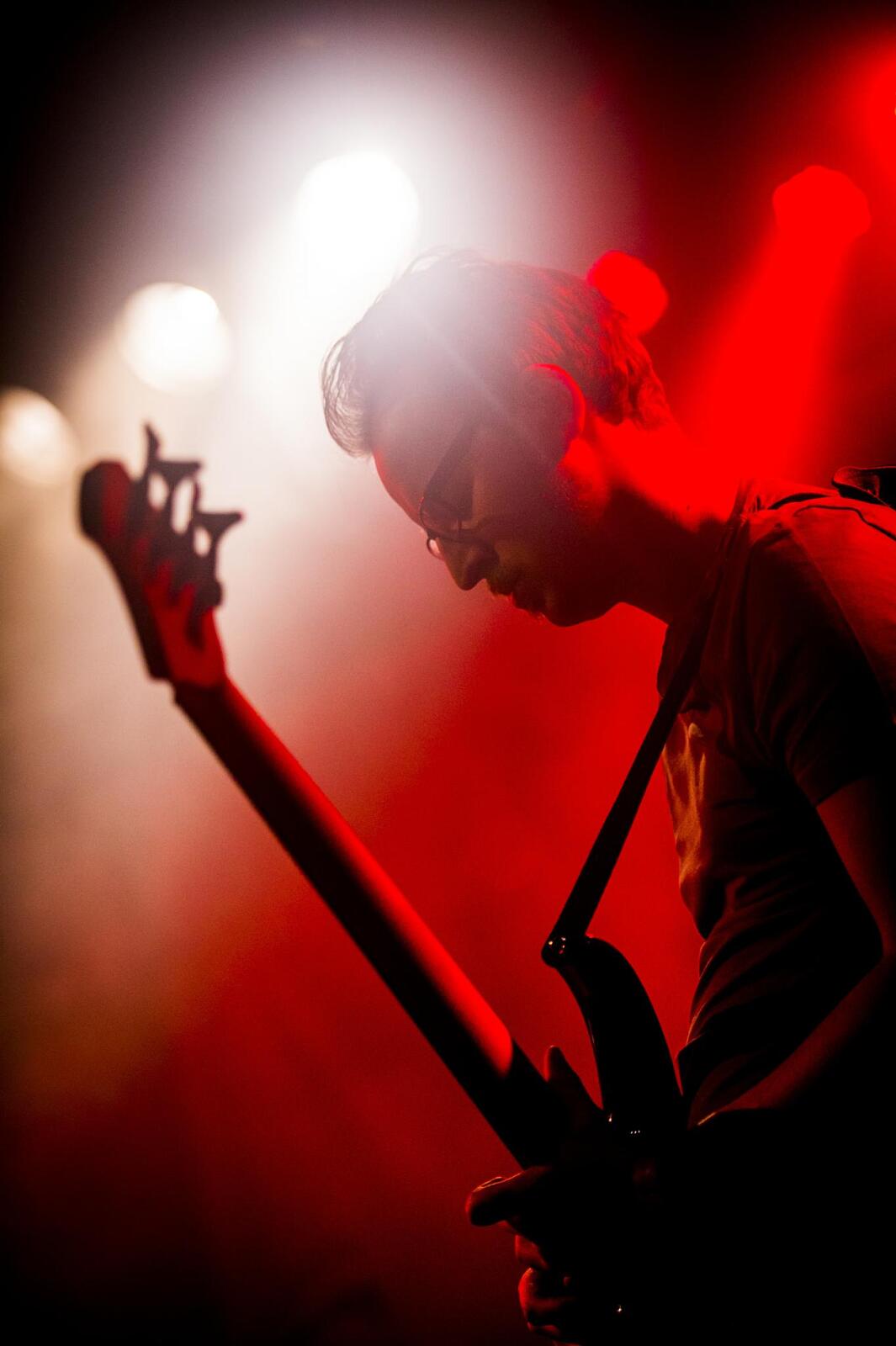 Roxie Horse · photo 1