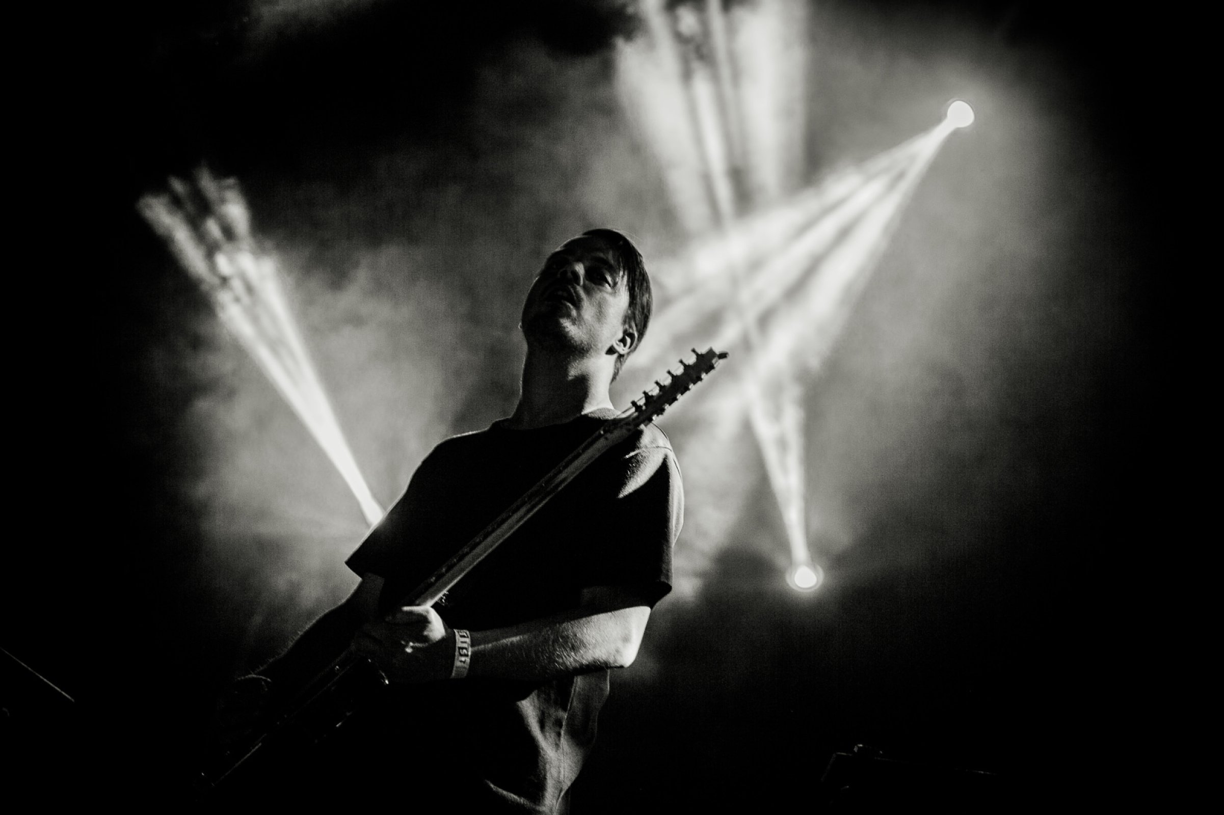 Goose · foto 1