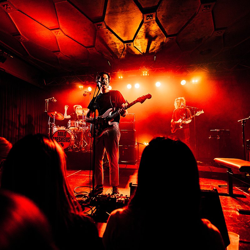 Milo Meskens at viernulvier