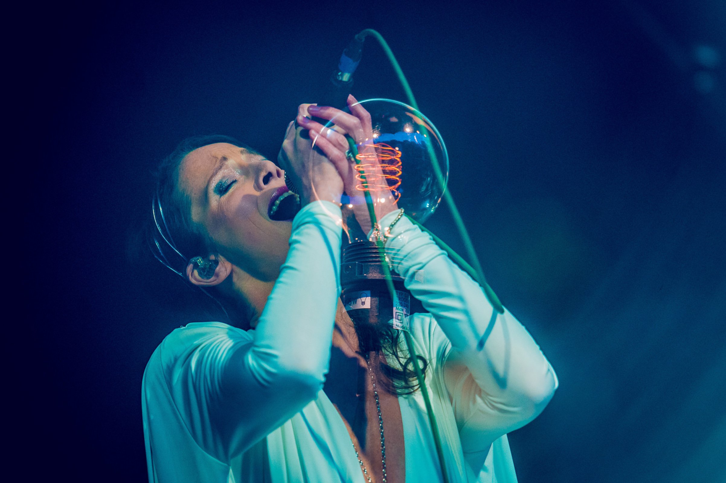 Lamb · photo 1