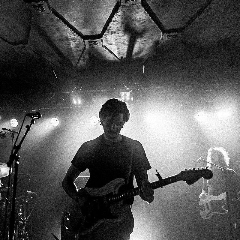 Milo Meskens at viernulvier