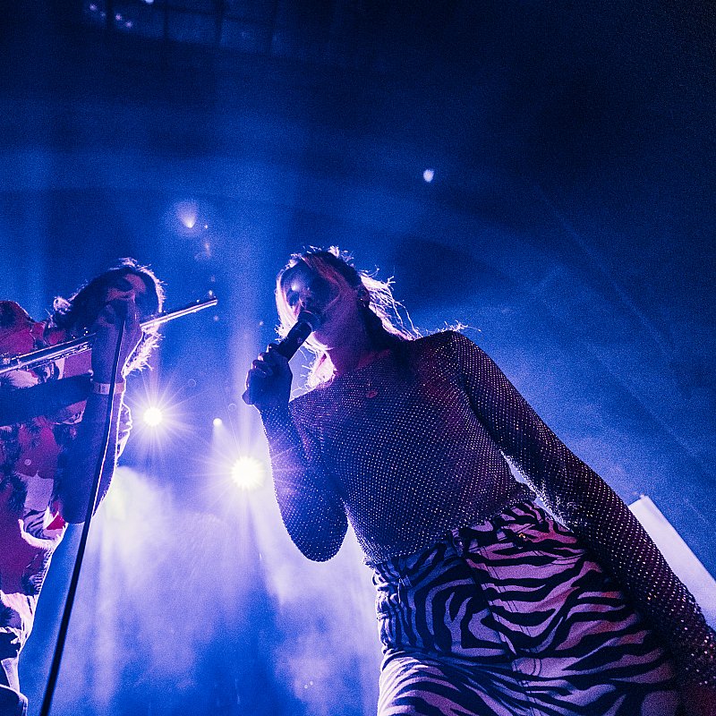 OYESONO at viernulvier