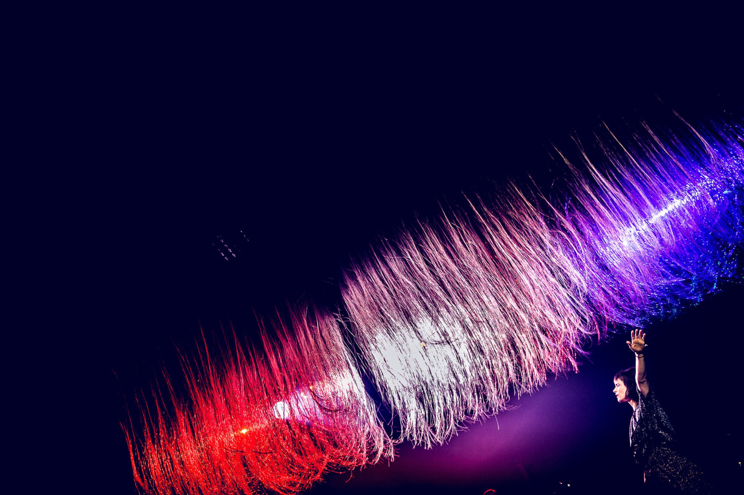 The Dø · photo 1