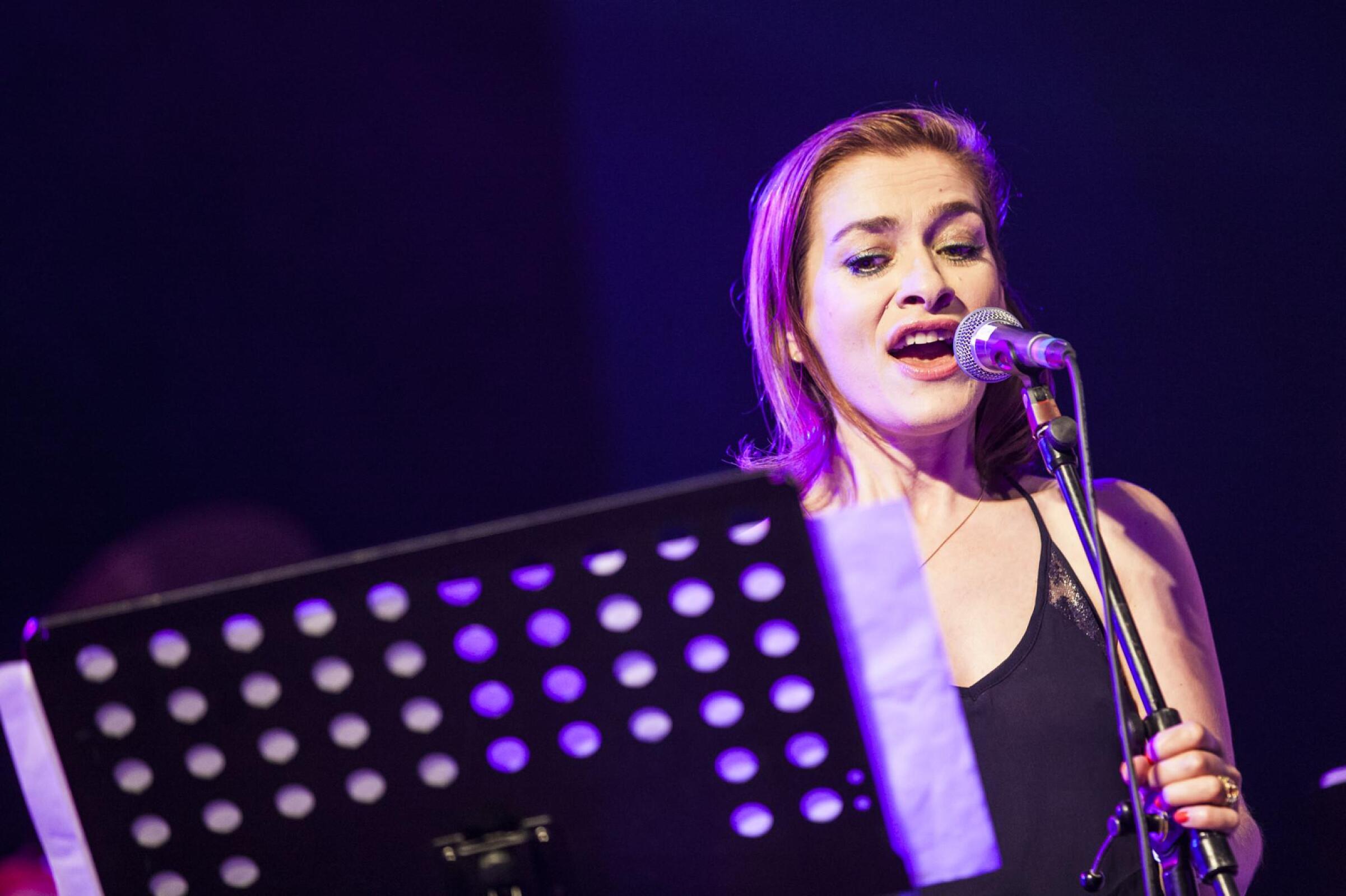 Zuidwaarts / Musique Sans Frontières · photo 1