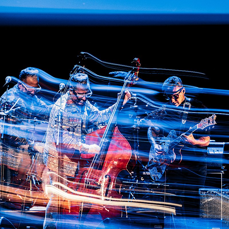 Lee Rocker at NTGent