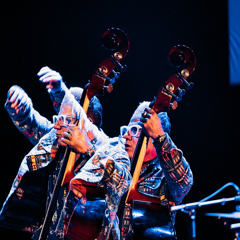 Lee Rocker at NTGent