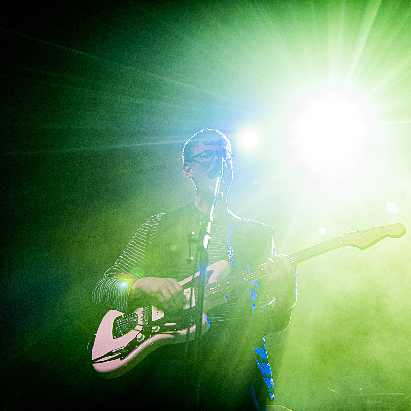 Crushed Beaks