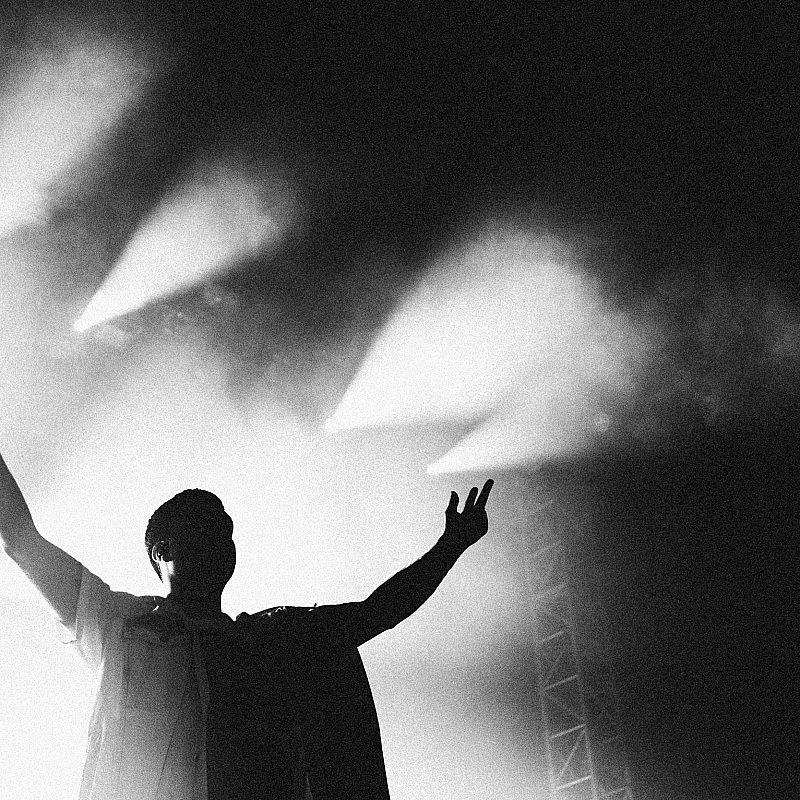 Goose at Crammerock 2019